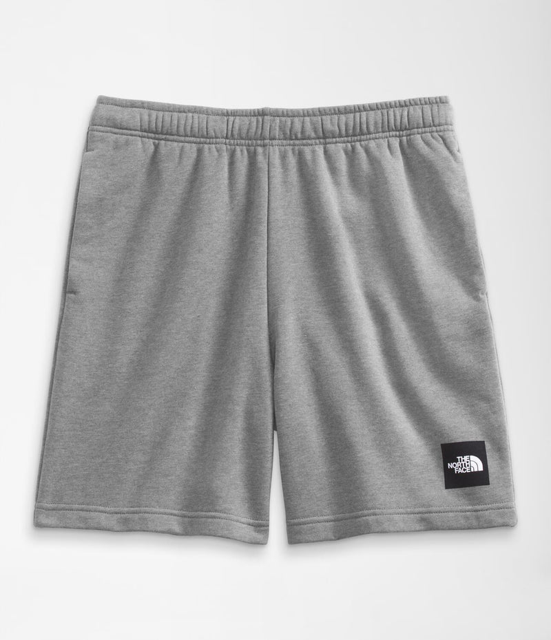 Pantaloneta Never Stop Short Gris Hombre The North Face - imagen 3