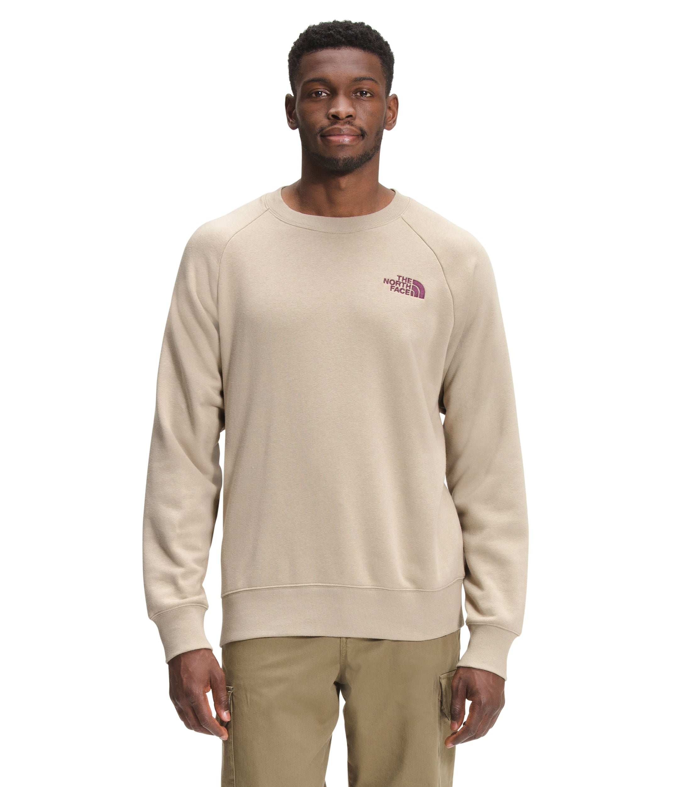 Buzo Simple Logo Crew Hombre Beige The North Face - imagen 1
