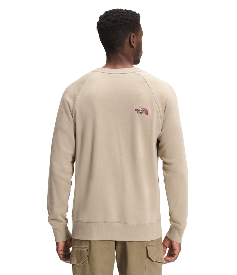 Buzo Simple Logo Crew Hombre Beige The North Face - imagen 2