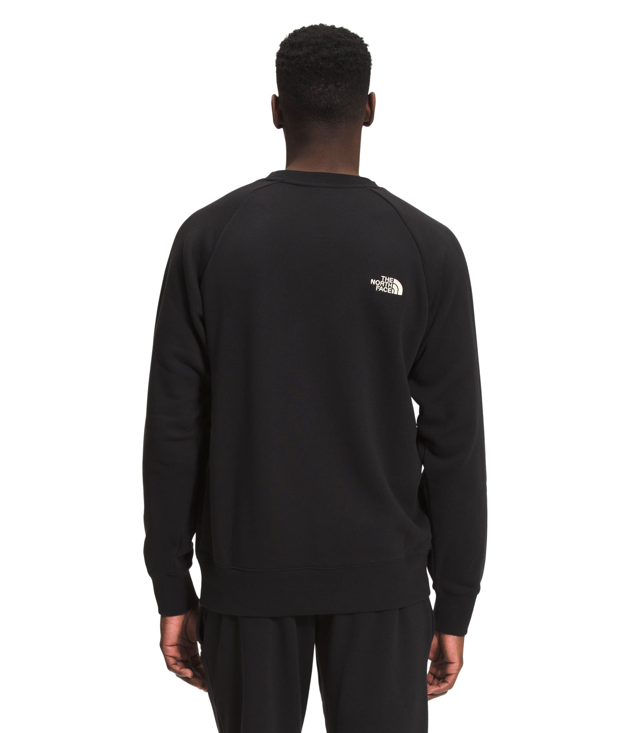 Buzo Simple Logo Crew Hombre Negro The North Face - imagen 2