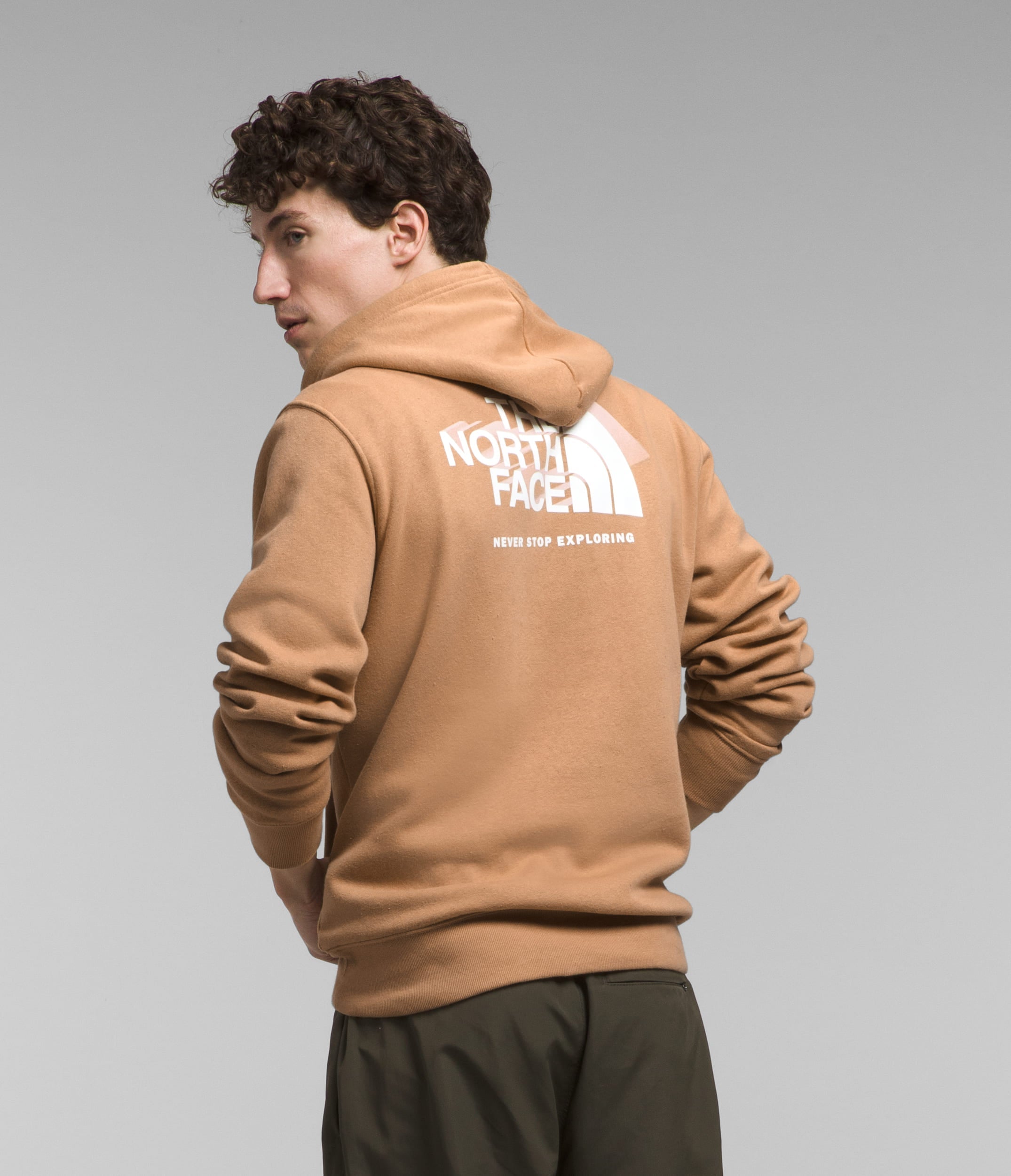 Buzo Box Nse Pullover Hoodie Café Hombre The North Face - imagen 1