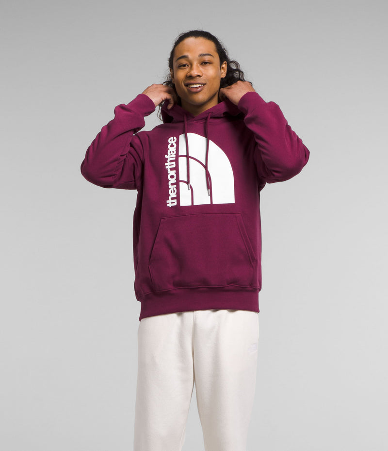 Buzo Jumbo Half Dome Morado Hombre The North Face - imagen 1