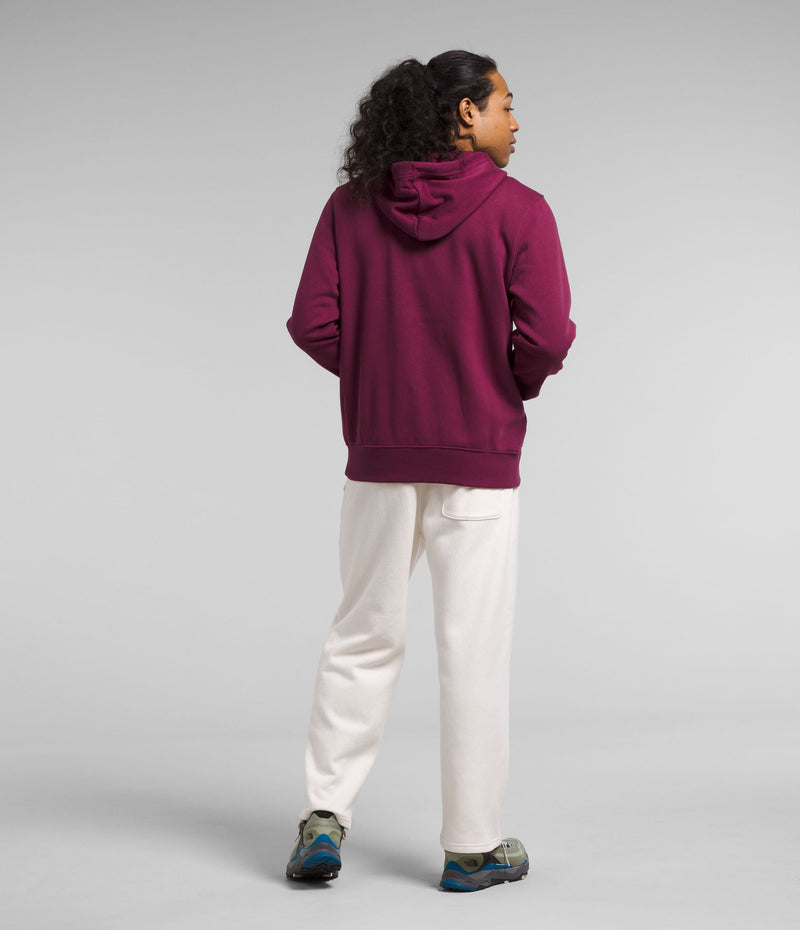 Buzo Jumbo Half Dome Morado Hombre The North Face - imagen 2