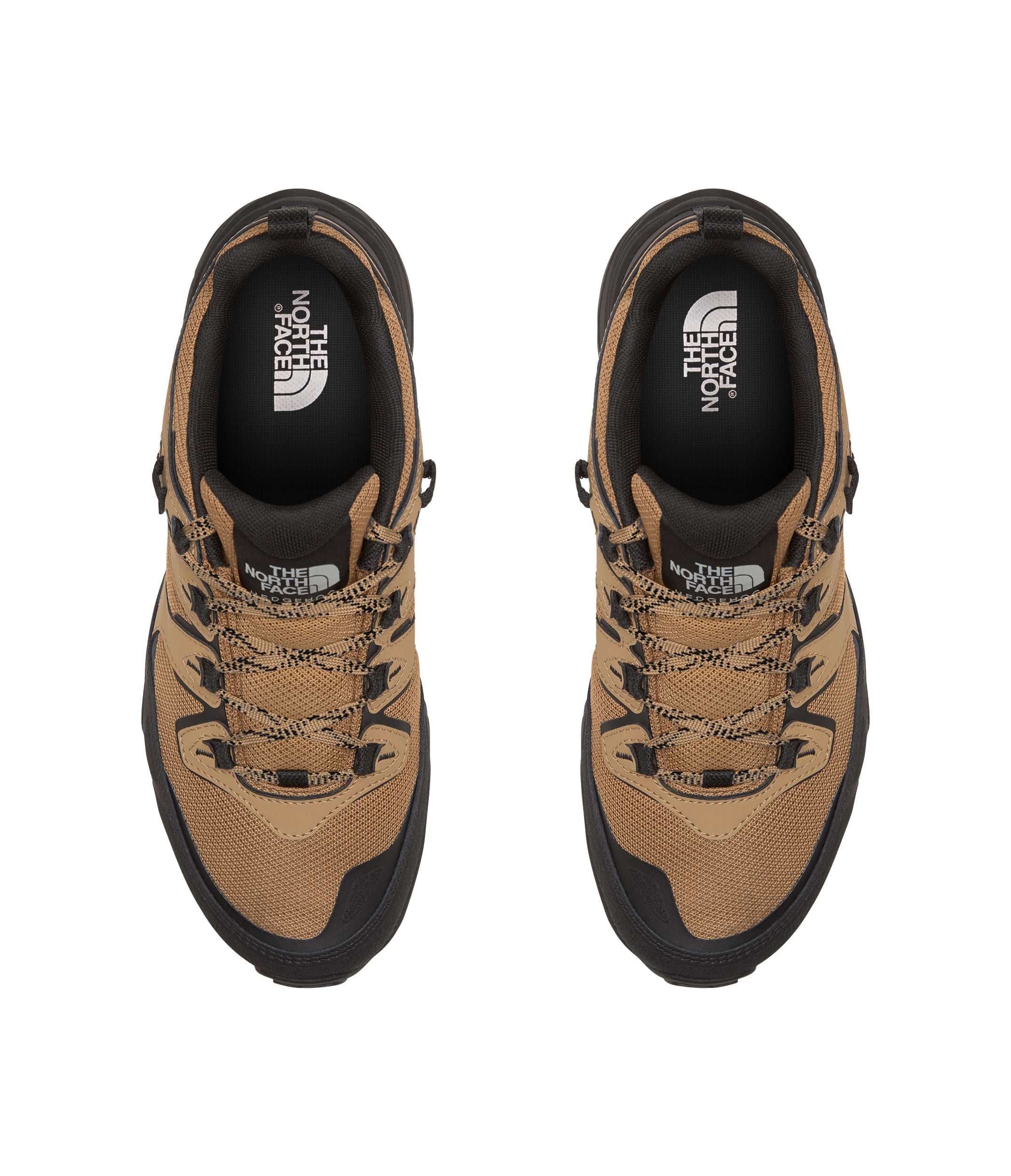 Zapatos Hedgehog 3 Wp Café Hombre The North Face