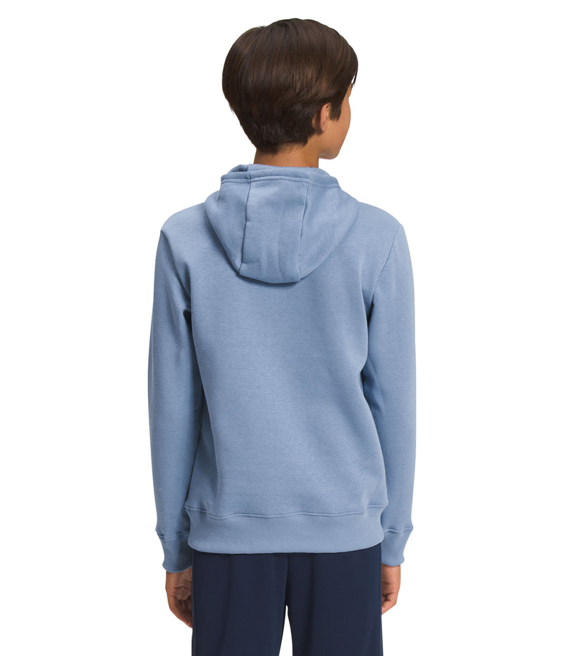 Buzo Camp Fleece P/O Hoodie Niño Azul The North Face