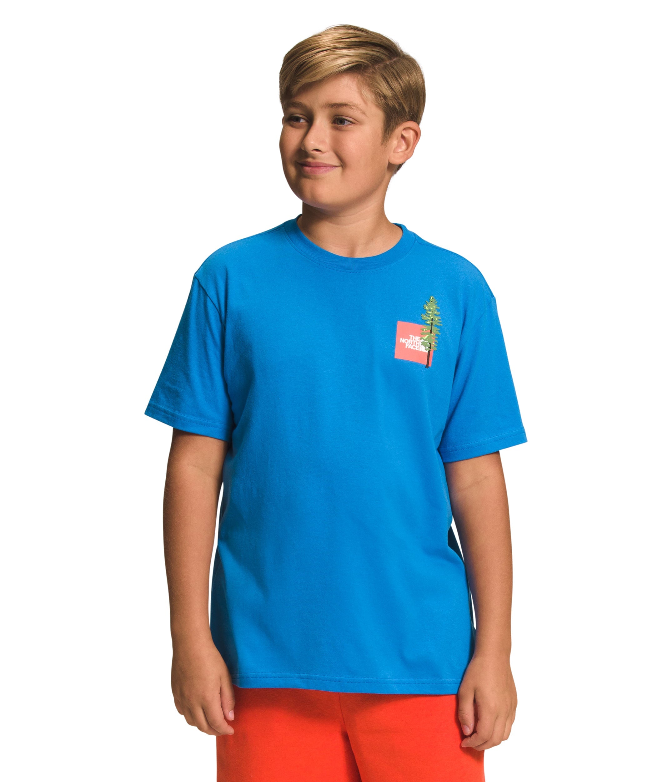 Camiseta Graphic Tee Manga Corta Azul Niño The North Face - imagen 1
