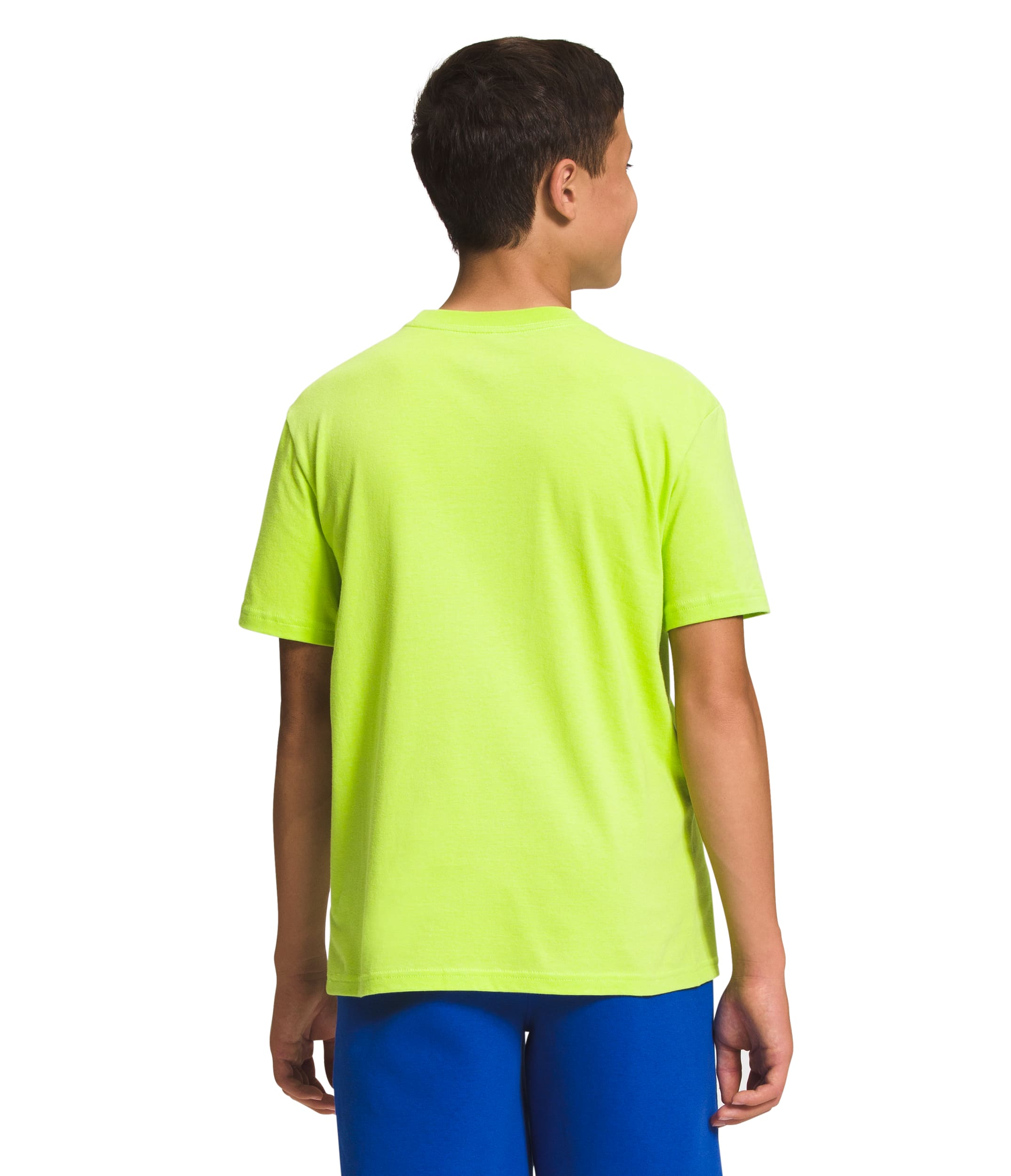 Camiseta Graphic Tee Manga Corta Verde Niño The North Face - imagen 2