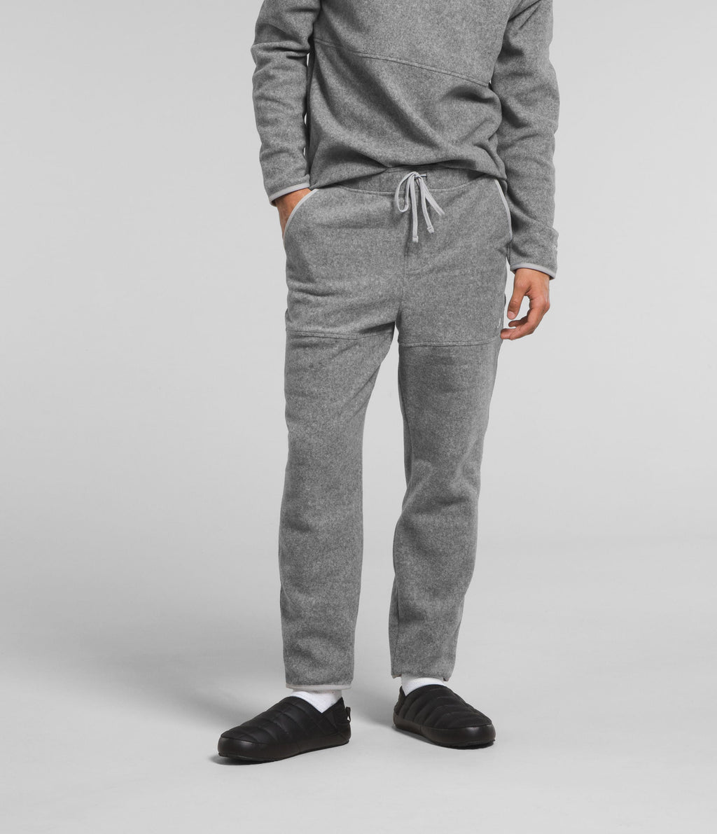 Pantalón Alpine Polartec 100 Gris Hombre The North Face - imagen 1