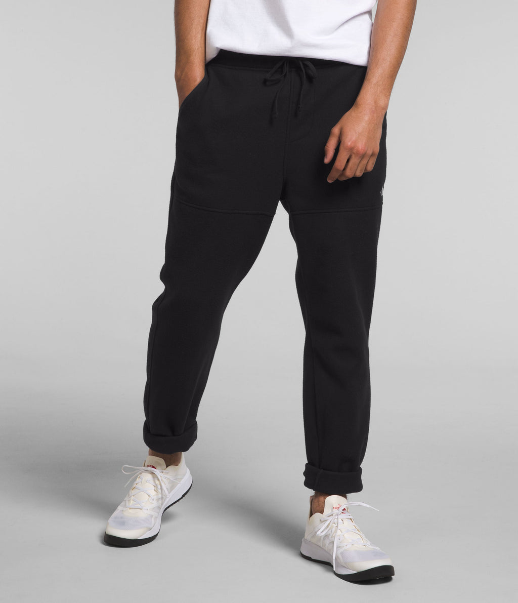 Pantalón Alpine Polartec 100 Negro Hombre The North Face - imagen 1