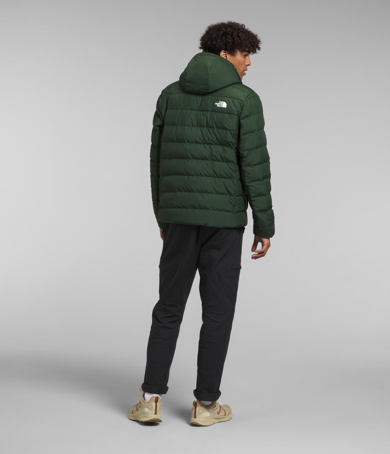 Chompa Aconcagua 3 Hoodie Verde Hombre The North Face - imagen 2