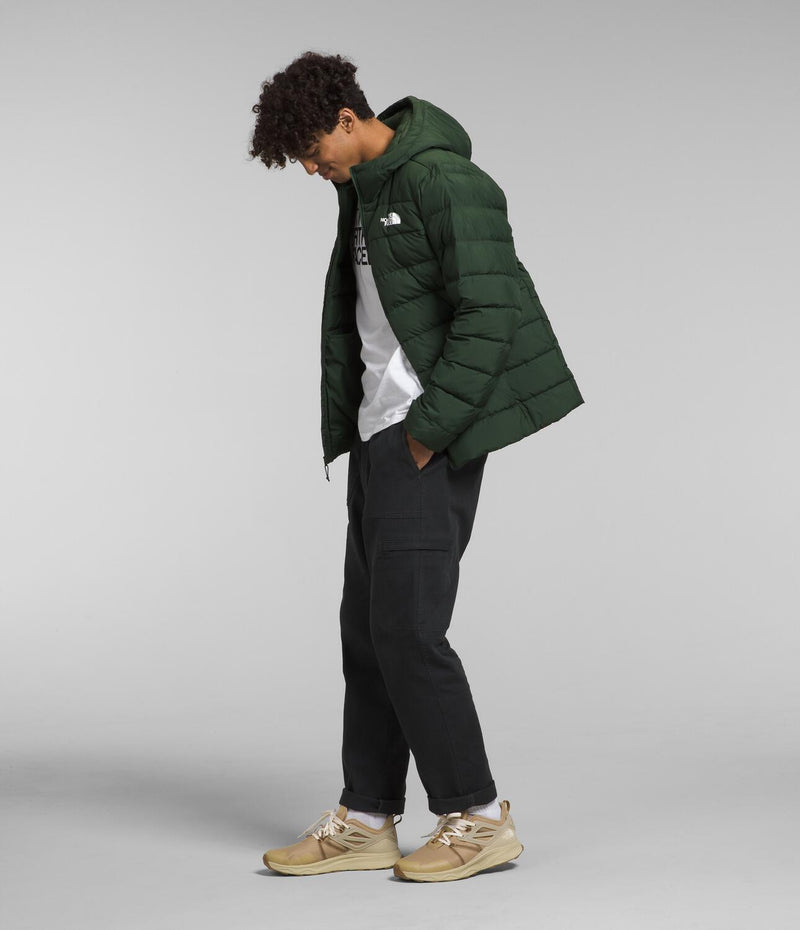 Chompa Aconcagua 3 Hoodie Verde Hombre The North Face - imagen 3