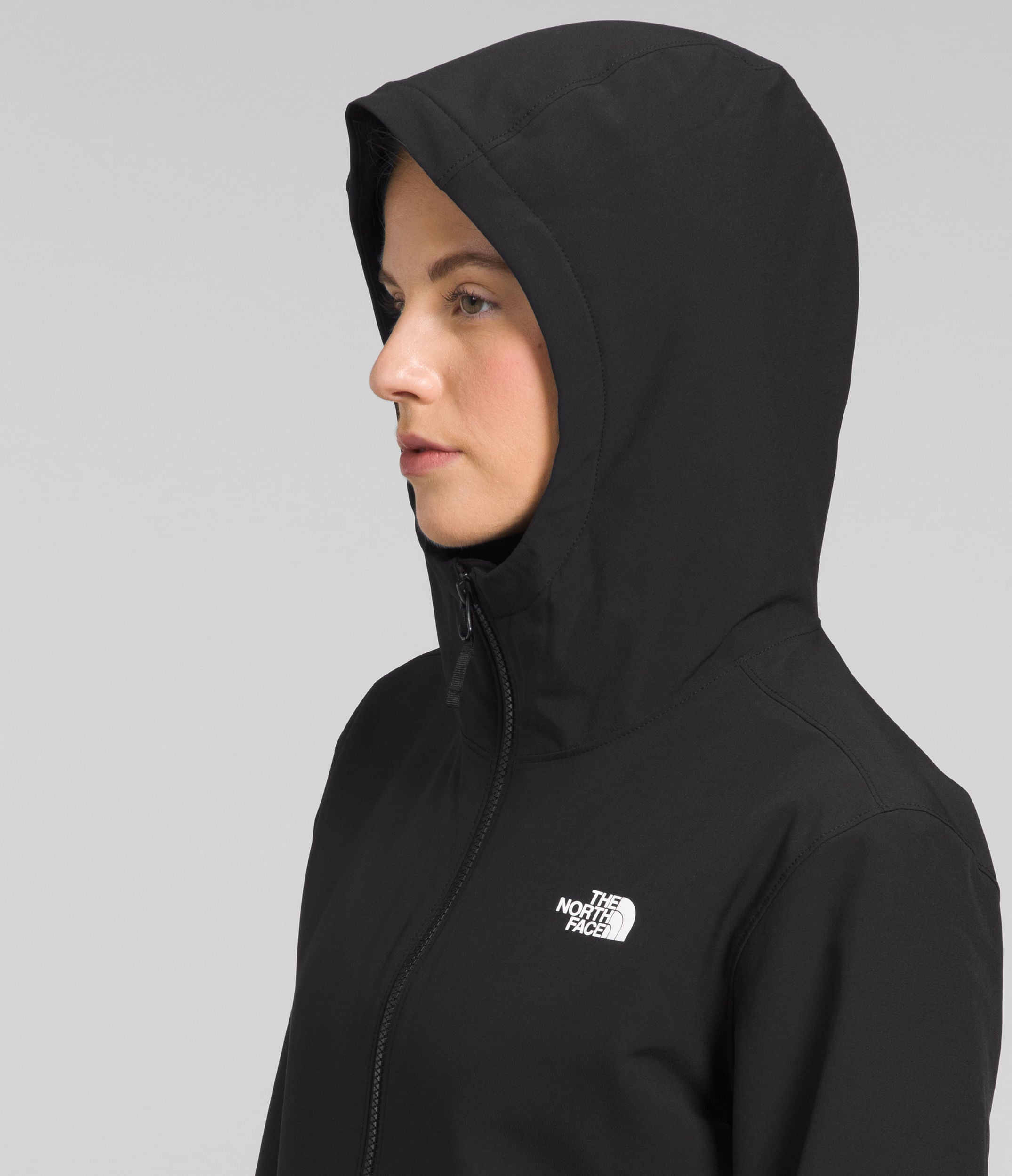 Chompa Shelbe Raschel Hoodie Negra Mujer The North Face