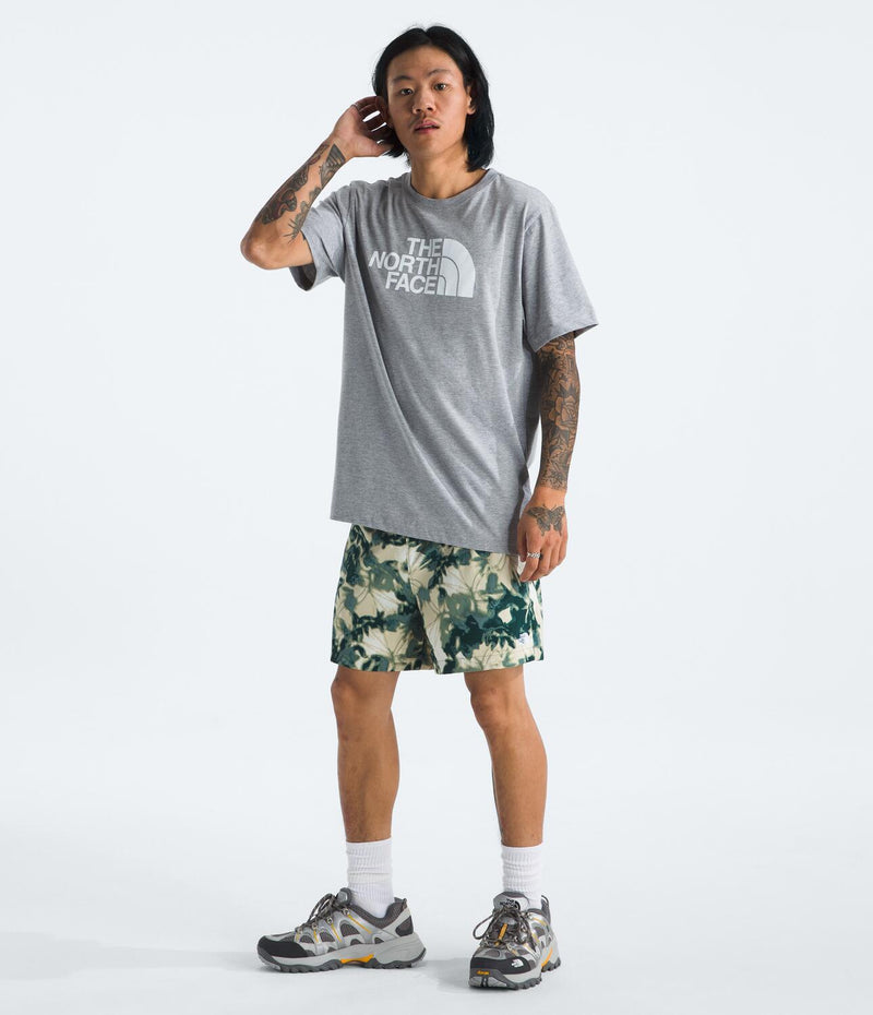 Camiseta Evolution Half Dome Short Sleeve Tee Gris Hombre The North Face