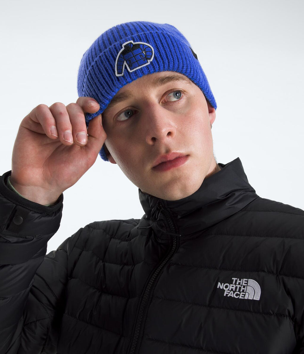 Gorro Tnf Logo Box Cuffed Beanie Azul Unisex The North Face