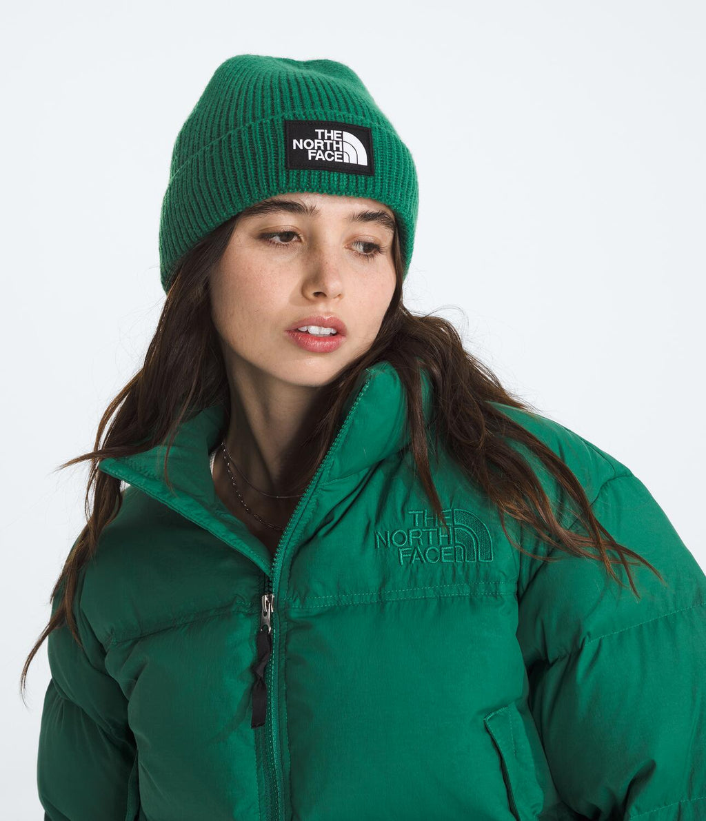 Gorro Tnf Logo Box Cuffed Beanie Verde Unisex The North Face