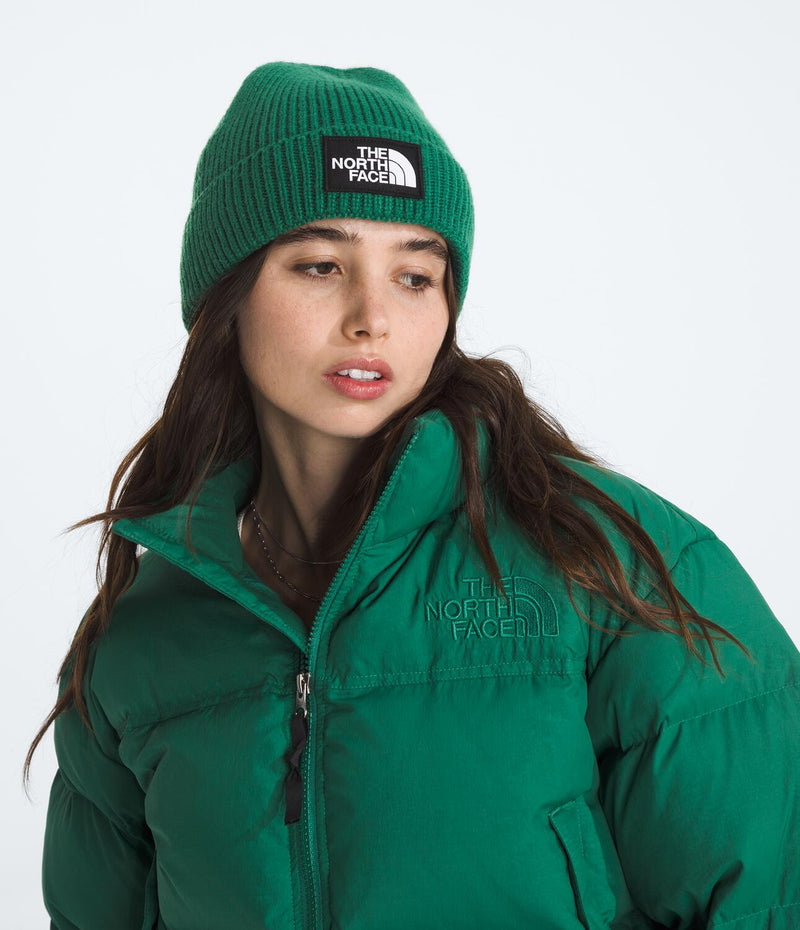 Gorro Tnf Logo Box Cuffed Beanie Verde Unisex The North Face