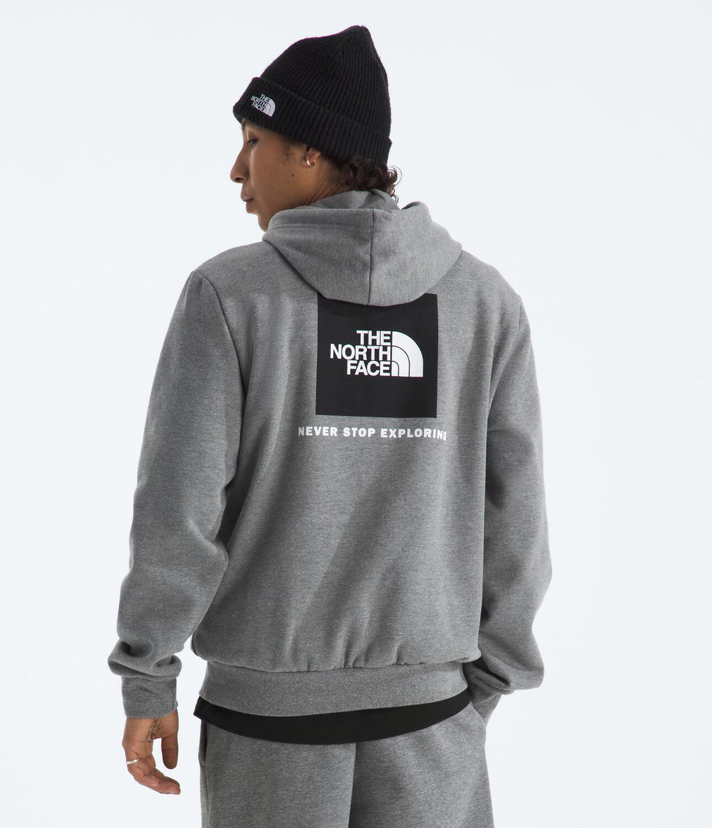 Buzo Evolution Box Nse Hoodie Gris Hombre The North Face - imagen 2