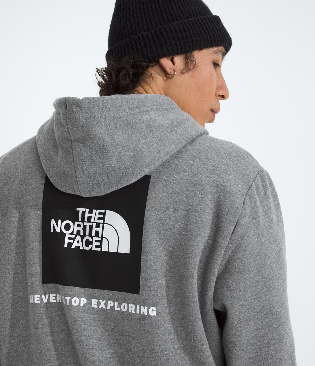 Buzo Evolution Box Nse Hoodie Gris Hombre The North Face - imagen 3