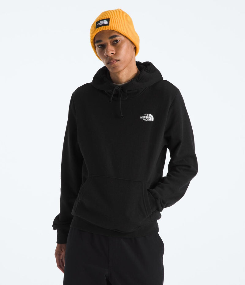 Buzo Evolution Box Nse Hoodie Negro Hombre The North Face - imagen 1