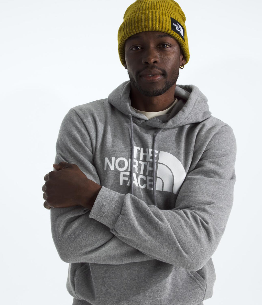Buzo Evolution Half Dome Hoodie Gris Hombre The North Face - imagen 3