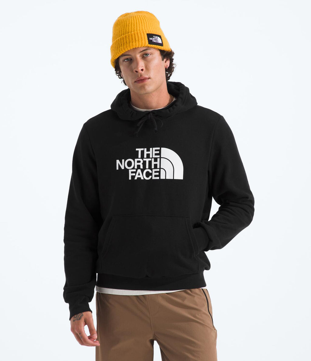Buzo Evolution Half Dome Hoodie Negro Hombre The North Face - imagen 1