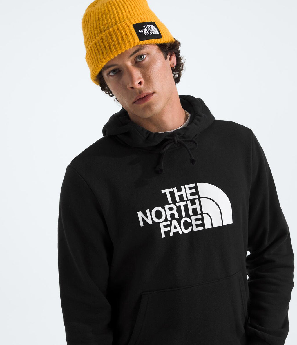 Buzo Evolution Half Dome Hoodie Negro Hombre The North Face - imagen 3