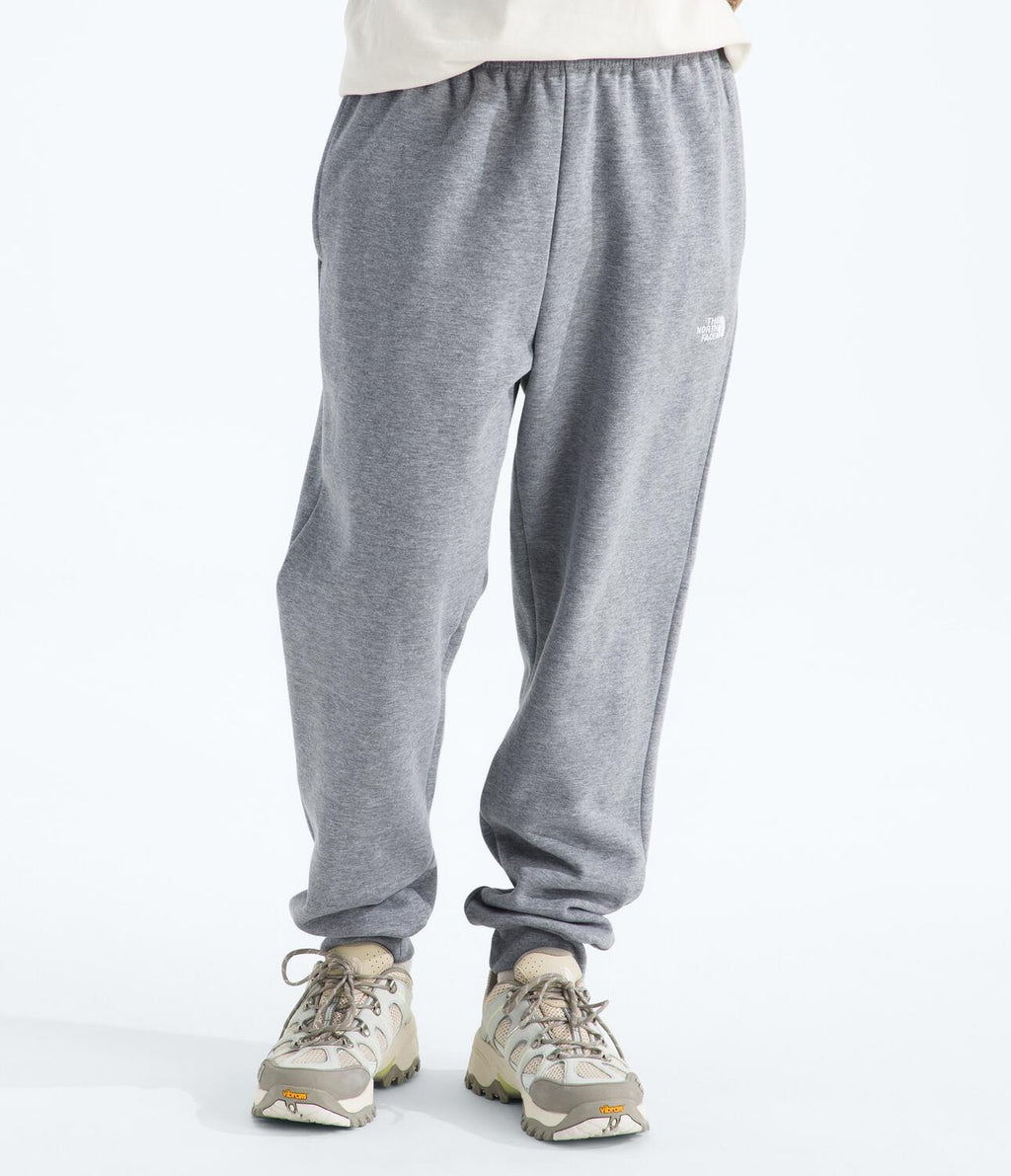Pantalón Evolution Simple Dome Jogger Gris Hombre The North Face