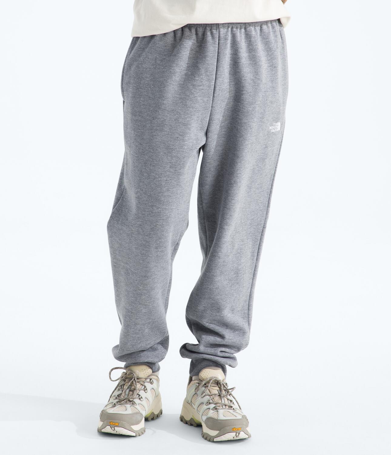Pantalón Evolution Simple Dome Jogger Gris Hombre The North Face