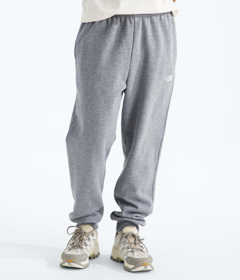 Pantalón Evolution Simple Dome Jogger Gris Hombre The North Face