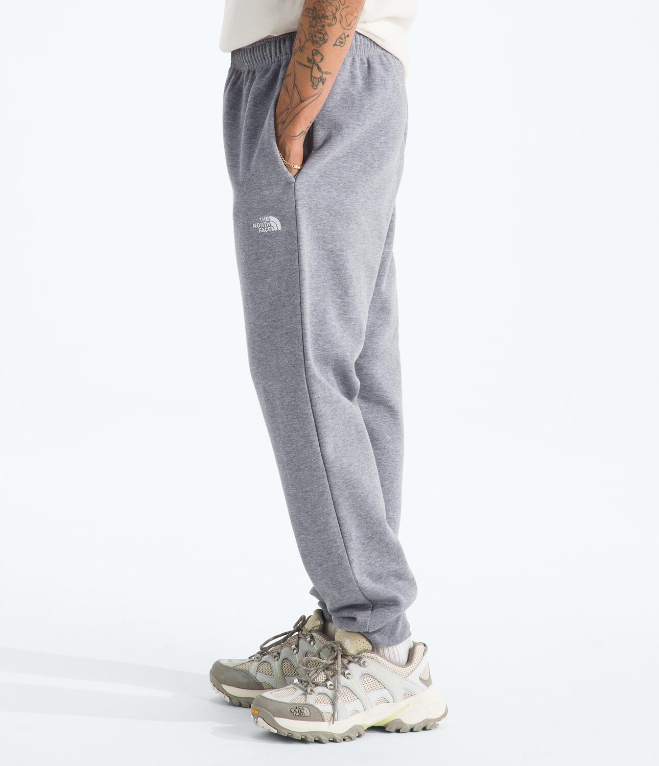 Pantalón Evolution Simple Dome Jogger Gris Hombre The North Face