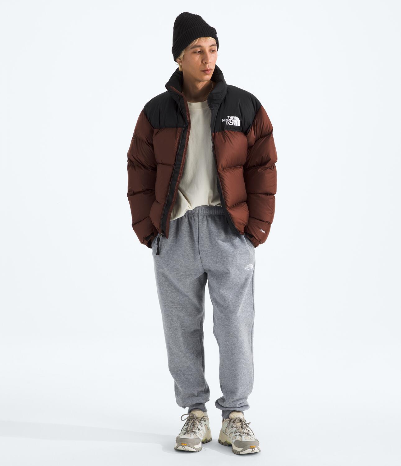 Pantalón Evolution Simple Dome Jogger Gris Hombre The North Face