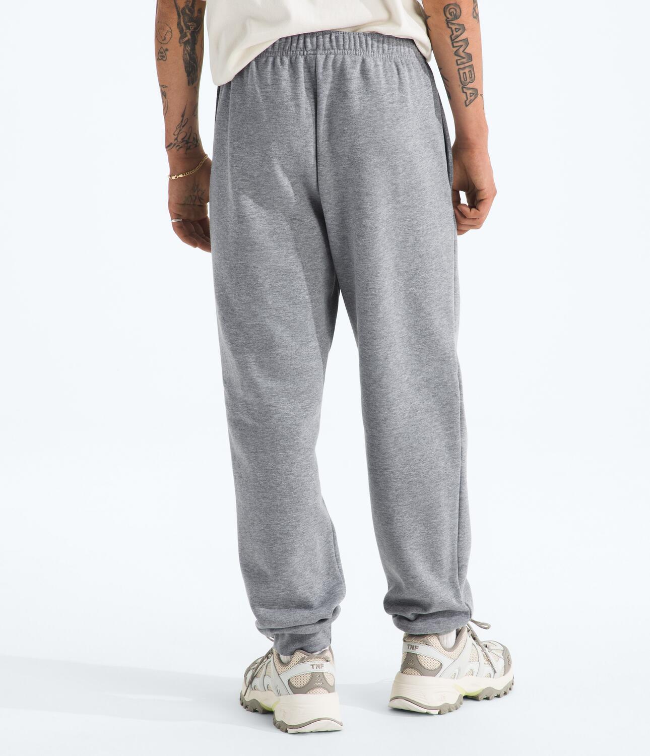 Pantalón Evolution Simple Dome Jogger Gris Hombre The North Face