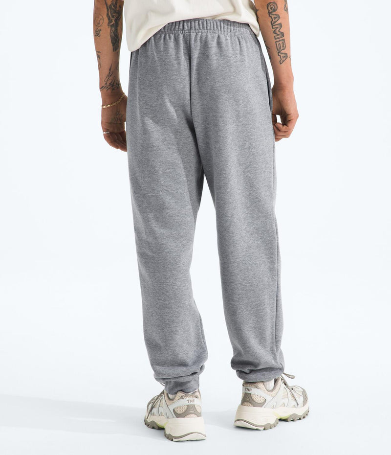 Pantalón Evolution Simple Dome Jogger Gris Hombre The North Face