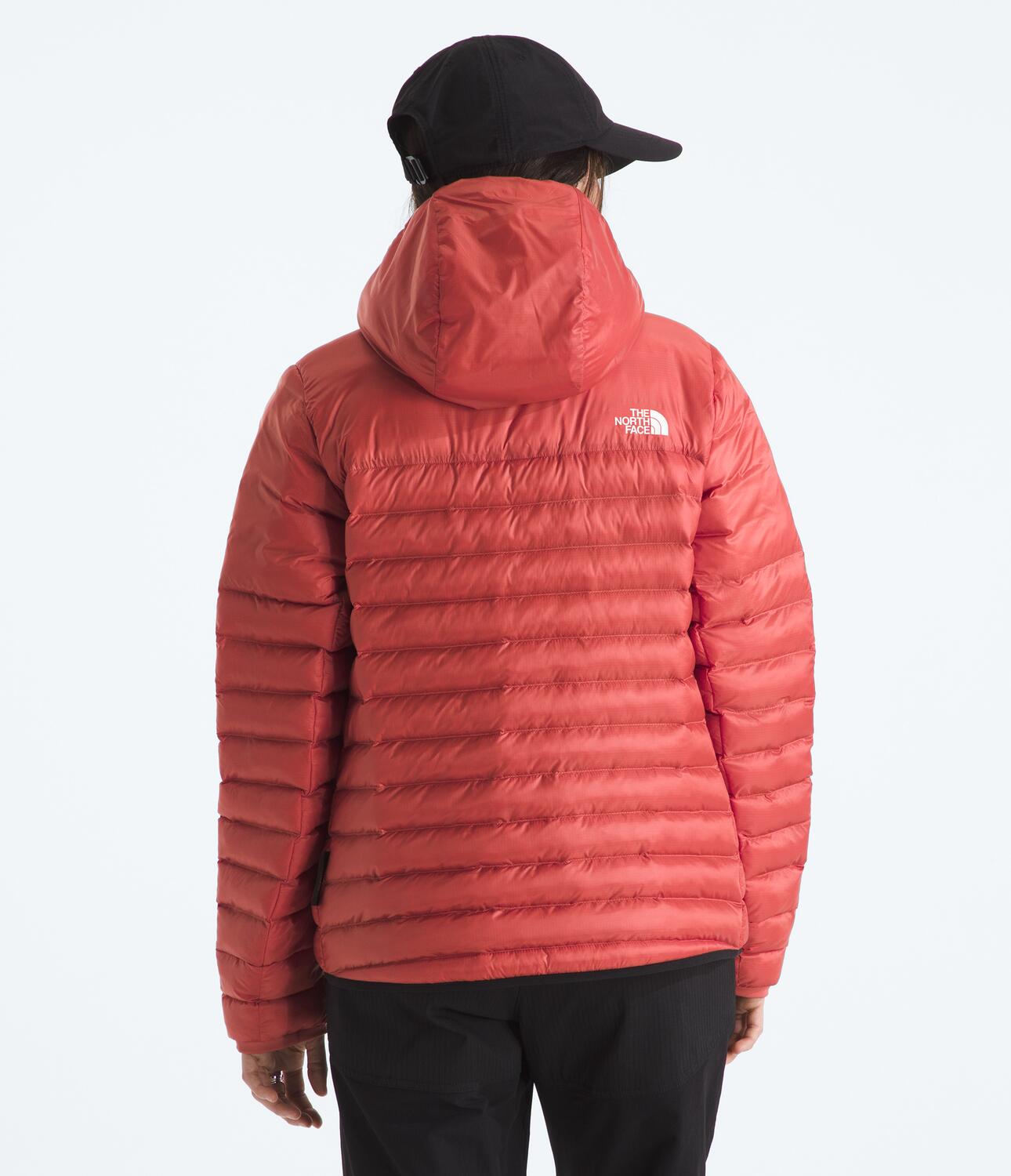 Chompa Terra Peak Hoodie Rojo Mujer The North Face