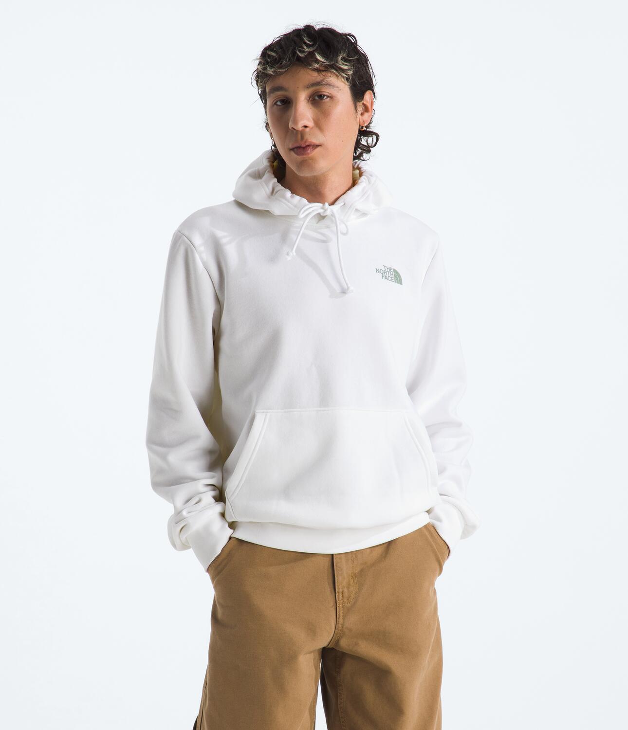 Buzo Evolution Mountain Woods Hoodie -Graphic Blanco Hombre The North Face - imagen 1