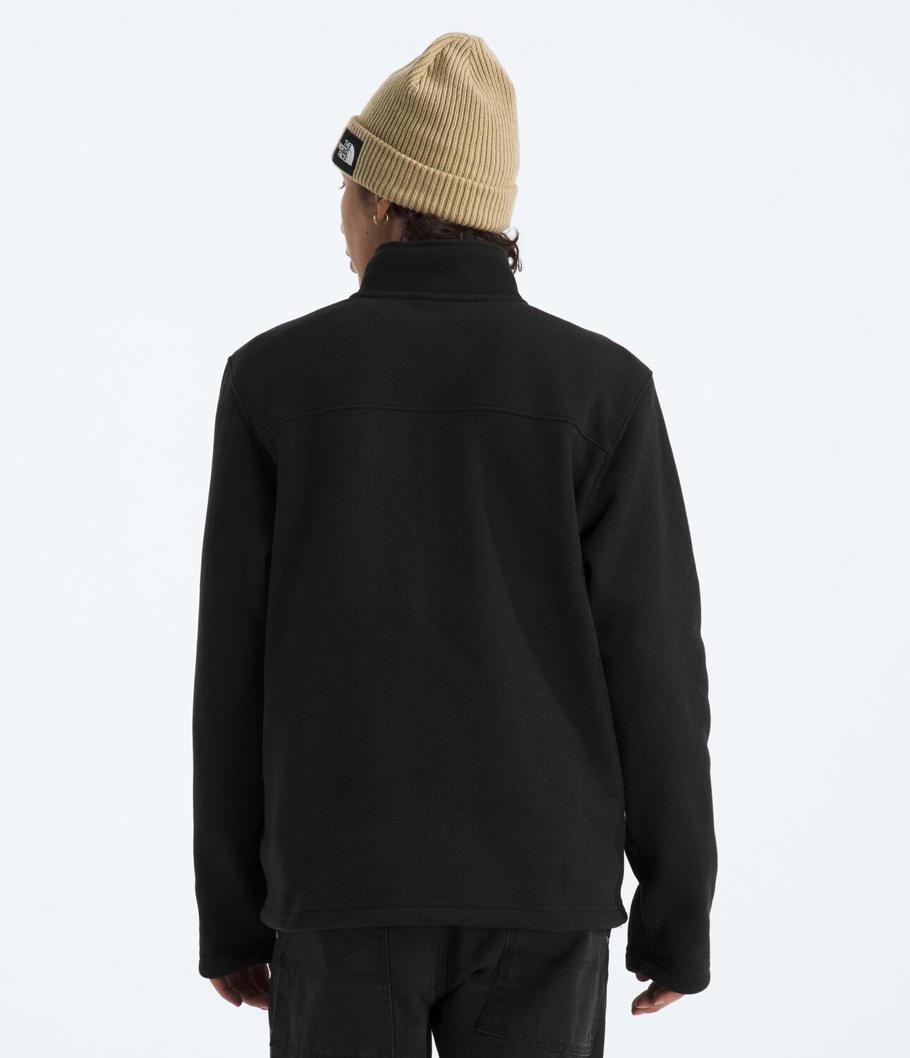 Buzo Gordon Lyons 1/4 Zip Negra Hombre The North Face - imagen 2