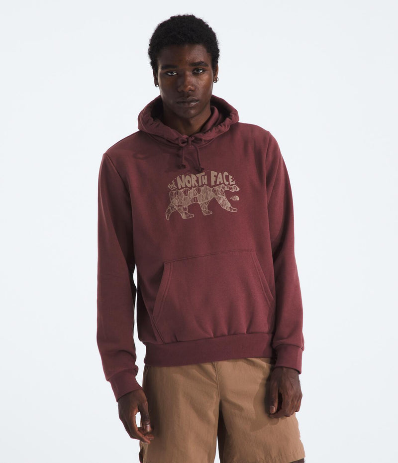 Buzo Evolution Tnf Bear Hoodie-Graphic Vinotinto Hombre The North Face