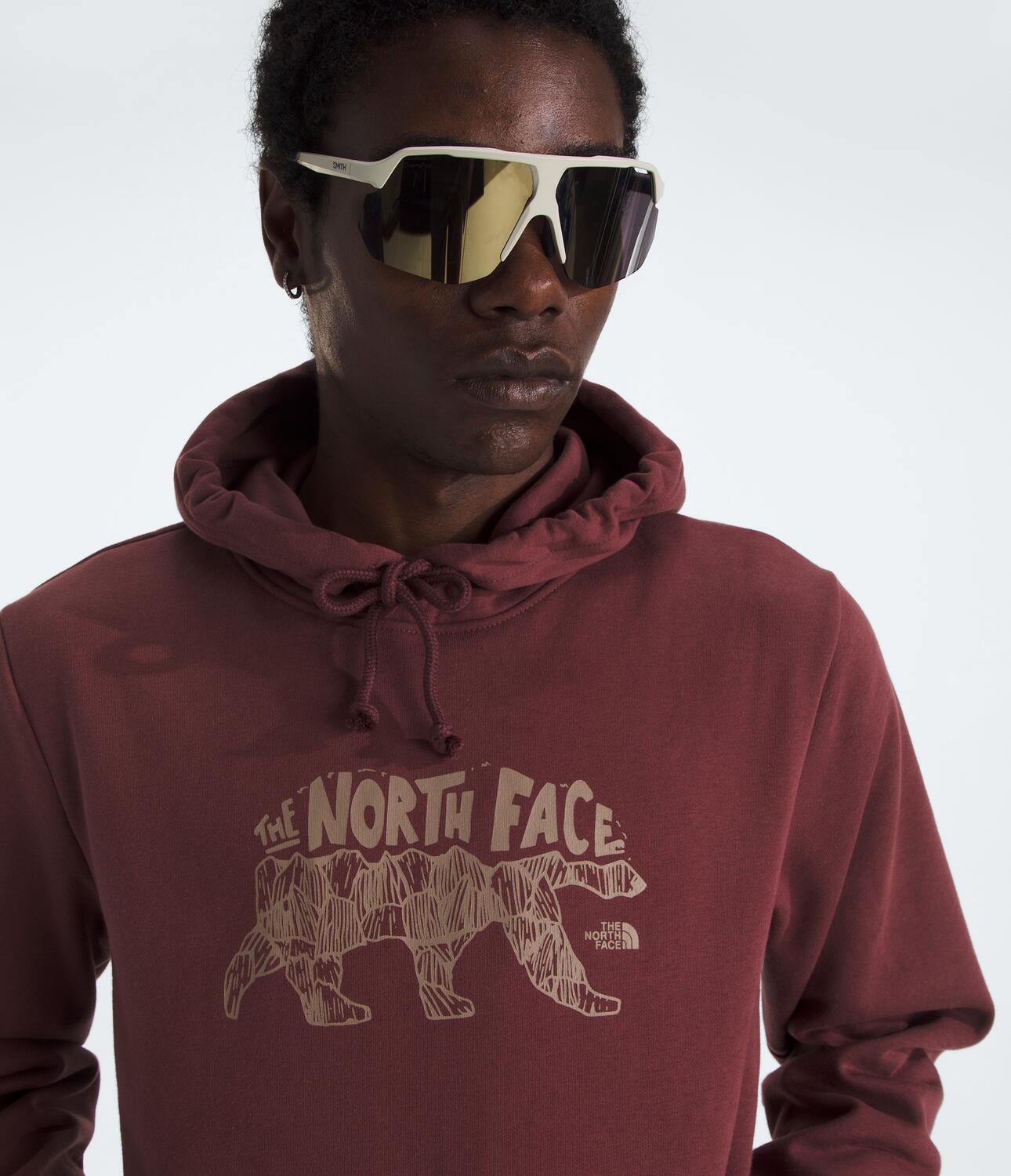 Buzo Evolution Tnf Bear Hoodie-Graphic Vinotinto Hombre The North Face