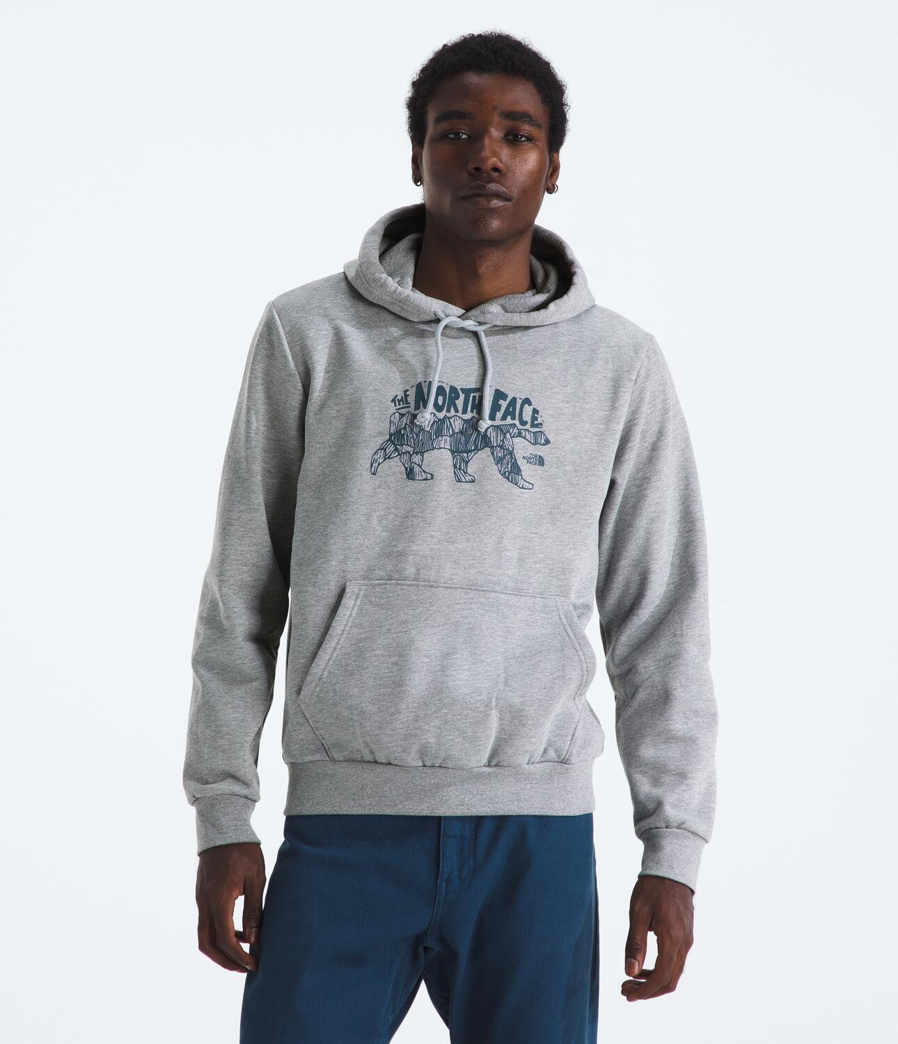 Buzo Evolution Tnf Bear Hoodie-Graphic Gris Hombre The North Face - imagen 1