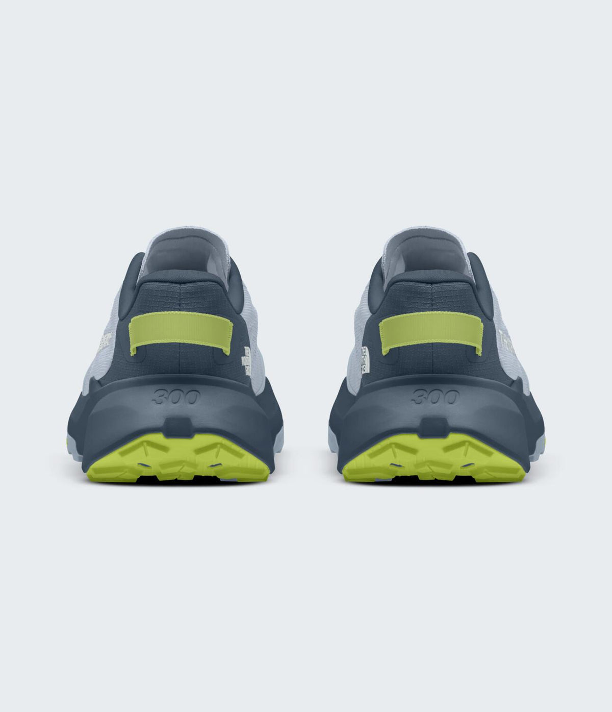 Zapatos Altamesa 300 V2 Azul Hombre The North Face